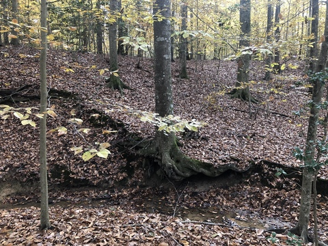 weldfather header picture leakfans.com