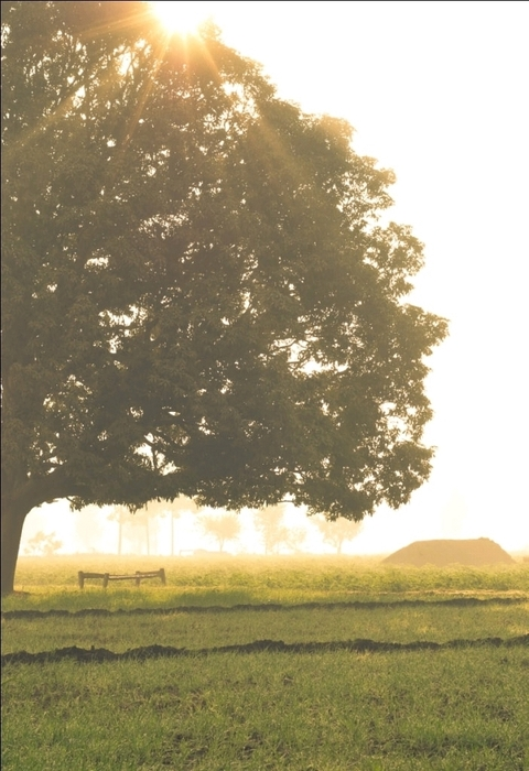 westside07 header picture leakfans.com