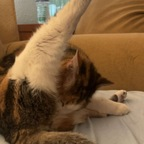 wetssprinkle profile picture leakfans.com