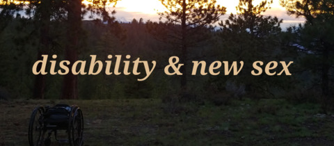 wheelchairvvulfie header picture leakfans.com