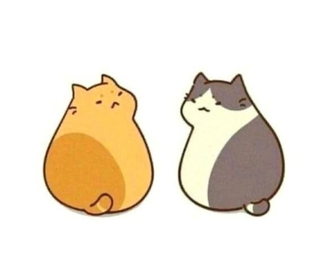 white_widow_ header picture leakfans.com