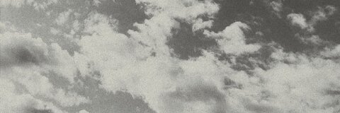 white_zelkova header picture leakfans.com