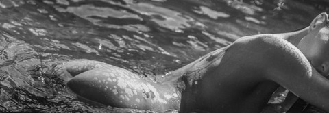 whollymolly header picture leakfans.com