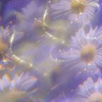 whoresdoll profile picture leakfans.com