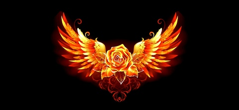 whoriblejayt-4free header picture leakfans.com