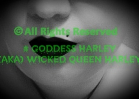 Header of wicked_queen_harley