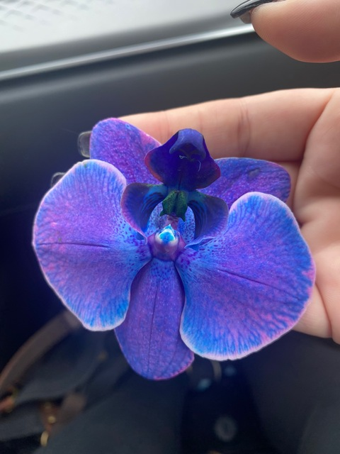 wifeplussome header picture leakfans.com