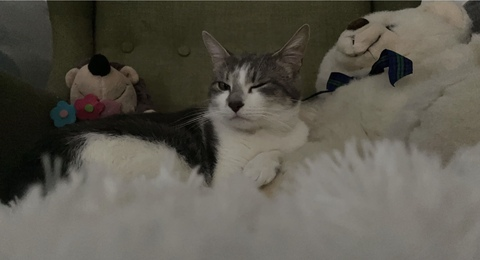 wifeybreadstick header picture leakfans.com