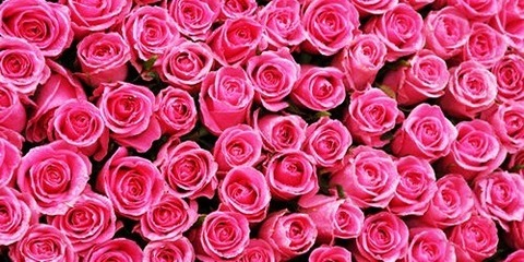 wifi.barbie header picture leakfans.com