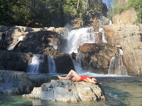 wildchamomile header picture leakfans.com