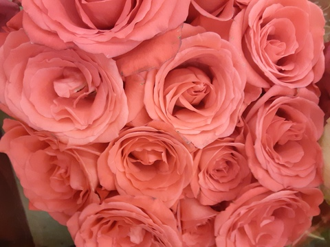 wildflowerchild header picture leakfans.com