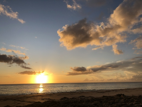 wildnprettyx header picture leakfans.com