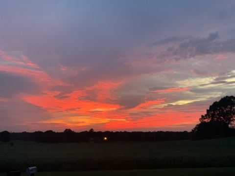 wildoneeee header picture leakfans.com