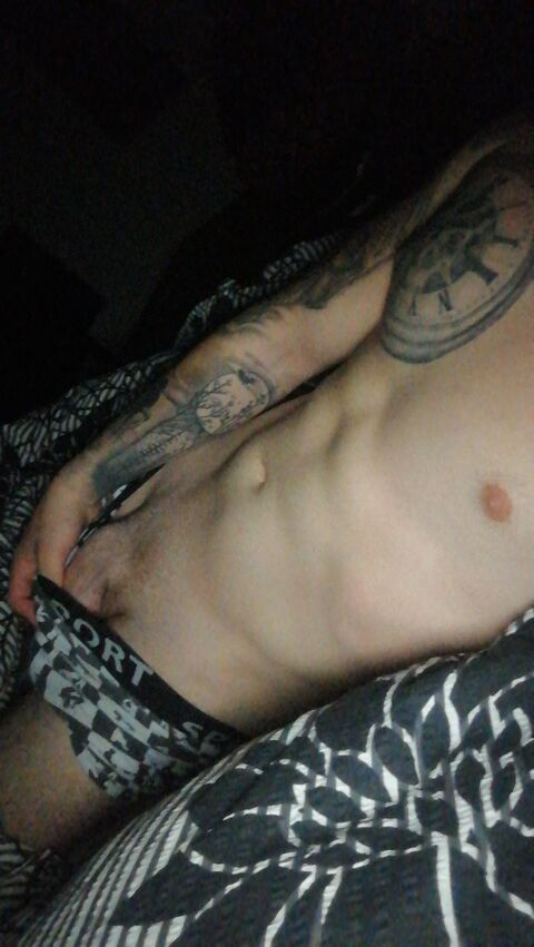 wildspirit header picture leakfans.com