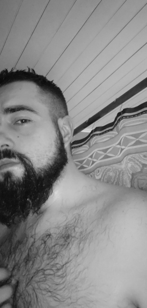 willdancefordiesel header picture leakfans.com