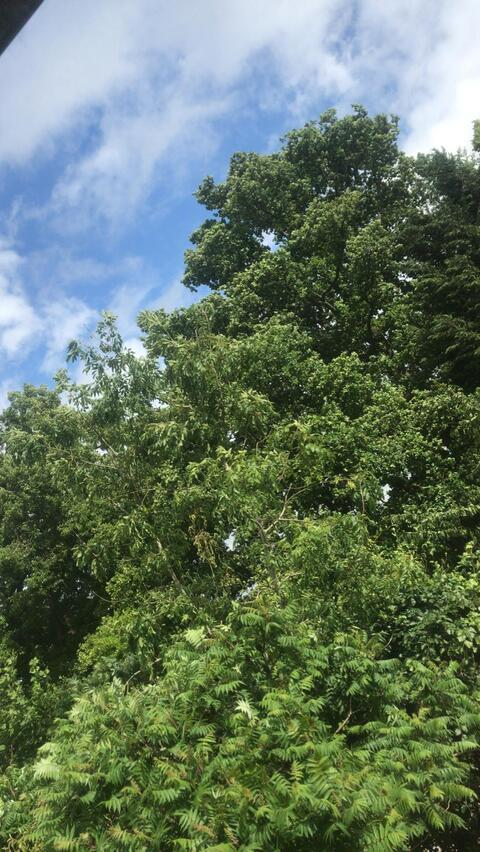 willmurray header picture leakfans.com