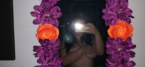 winterblossomph header picture leakfans.com