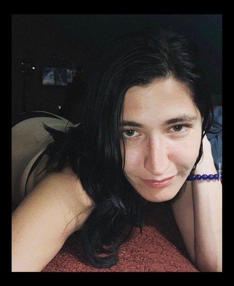 winterdraconis header picture leakfans.com