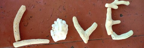 winterwoods header picture leakfans.com