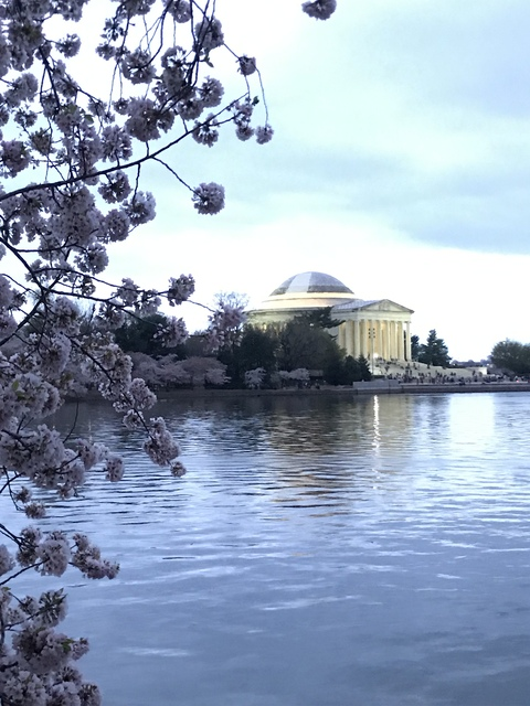 wokewonderwoman header picture leakfans.com