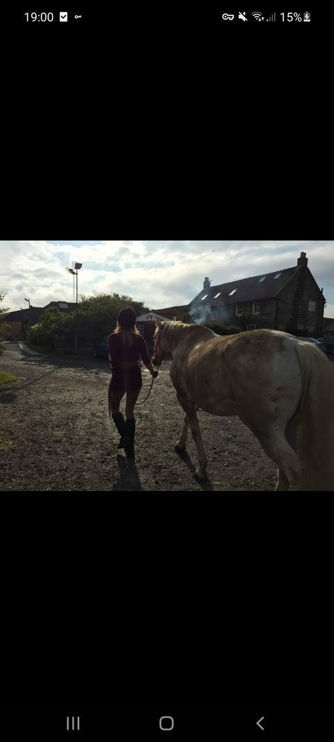 wolfchick header picture leakfans.com