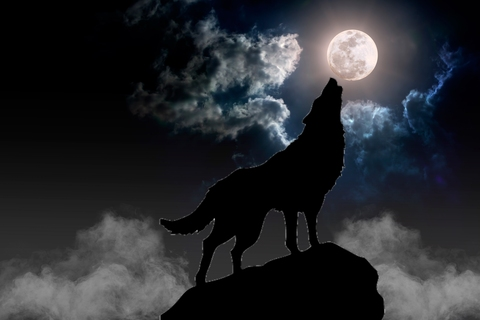 Header of wolfmoon8888