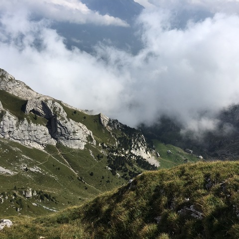 wolfpup_takashi header picture leakfans.com