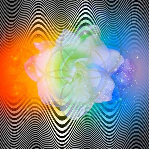 wookieprincess header picture leakfans.com