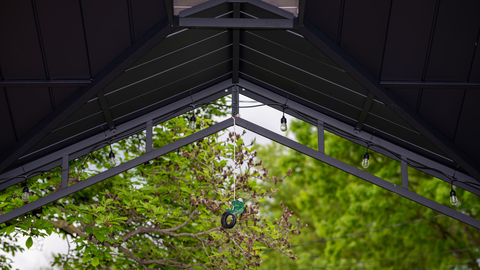 wumboner header picture leakfans.com