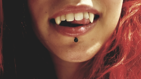 wwillow header picture leakfans.com