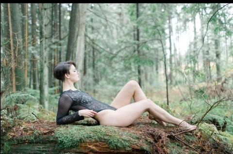 wyllie12 header picture leakfans.com