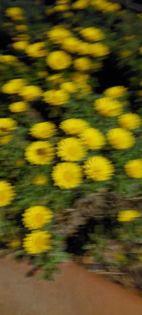 wyttew header picture leakfans.com