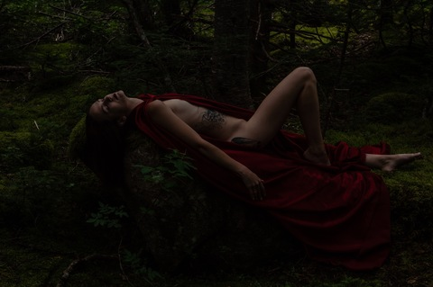 x.littleluna header picture leakfans.com