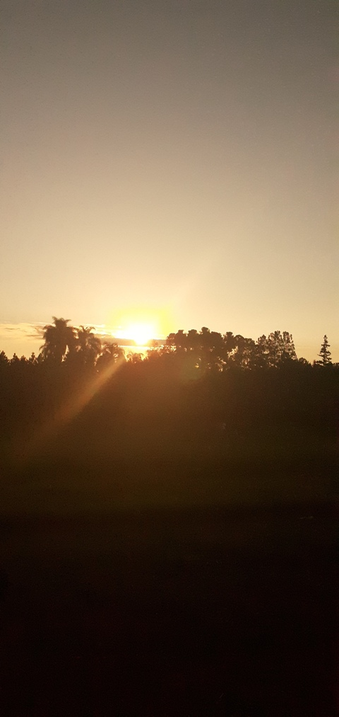 xagus header picture leakfans.com