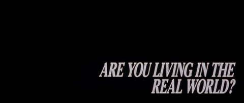 xangelbunnieex header picture leakfans.com