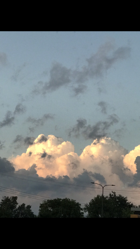 xcindy header picture leakfans.com