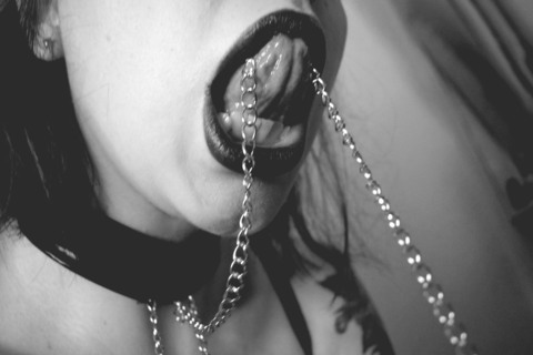 xcleo header picture leakfans.com