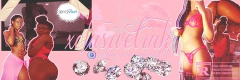 Header of xclusivetink