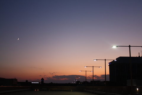 xcourtx header picture leakfans.com