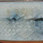 xebonyxrosex profile picture leakfans.com