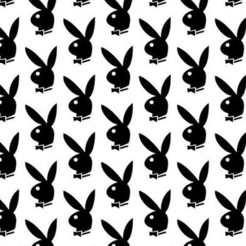 xelizvvetv header picture leakfans.com