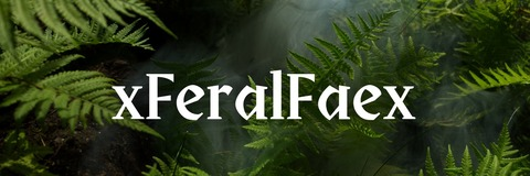 Header of xferalfaex