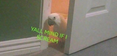 xippeats header picture leakfans.com