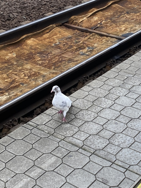 xjxjhdjdjsj header picture leakfans.com