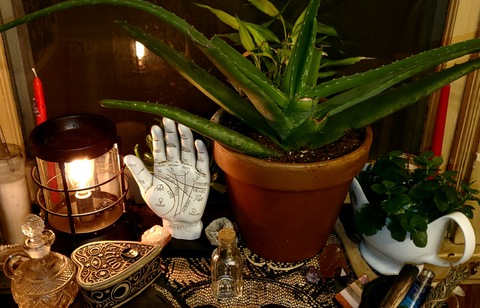 xmanicxmamax header picture leakfans.com