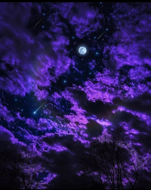 xmissrosee header picture leakfans.com