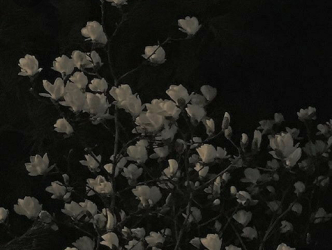 xo-spookybabe header picture leakfans.com