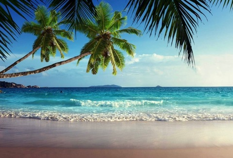 xobabenextdoor header picture leakfans.com