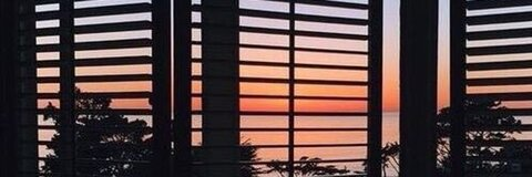 xobeejadexo header picture leakfans.com