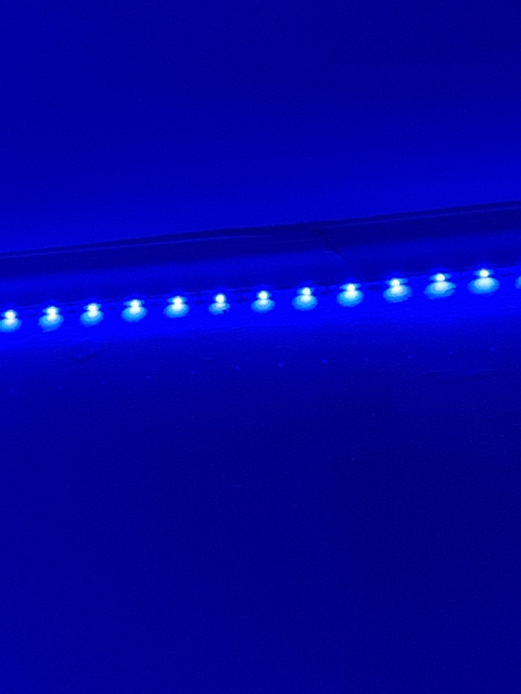 xoizzyy header picture leakfans.com